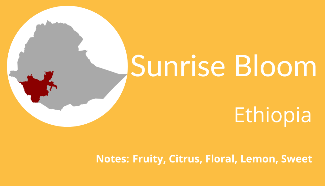 Sunrise Bloom